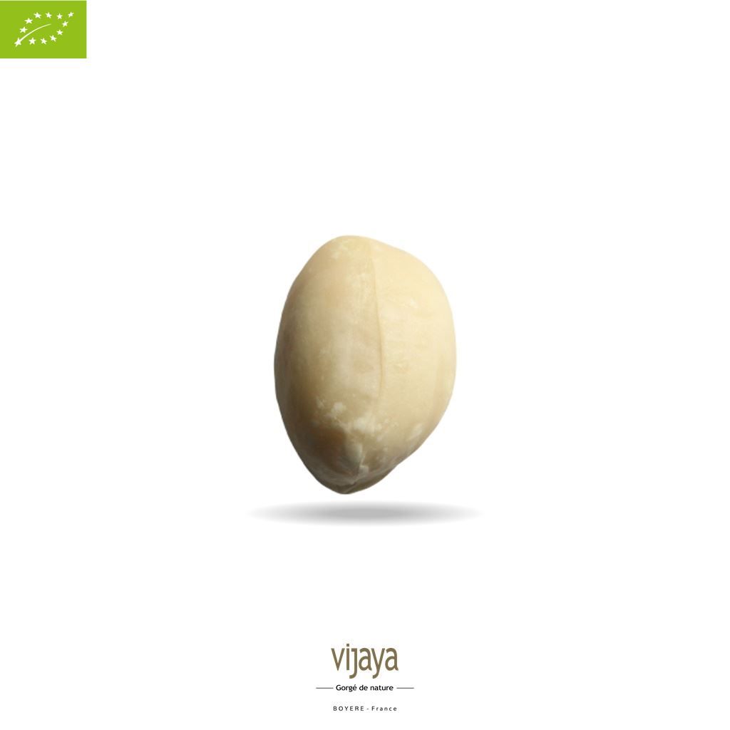 Vijaya